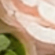 Thịt hồng