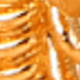 Vàng