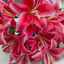 6pcs 23-Inch Artificial Lily Stems With 3 Full Blooms And 4 Leaves, Latex Material, Realistic Touch, Suitable For Wedding Bouquets - Hot Pink - View 3