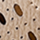 Màu Khaki