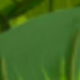 Nhiều màu