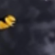 彩色