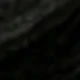 الأسود