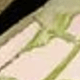 藍粉