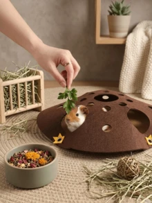 Giường ẩn náu cho chuột lang, Nhà ẩn náu dạng đường hầm mê cung, Đường hầm ẩn náu cho thú cưng, Thảm đồ chơi đào hang, Thảm mê cung cho chuột hamster, Nhà chơi và ẩn náu cho chuột hamster, Tổ nhỏ nhiều lỗ cho thú cưng, Đường hầm mê cung cho sóc chuột, Nhà tròn nhỏ cho thú cưng, Mê cung nhiều lỗ bằng nỉ, Đồ chơi nhỏ cho thú cưng. - B-Nâu - Xem 10