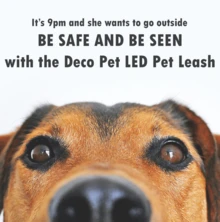 DECO LED Dog Leash W/3 Light Modes For Night Safety, Battery-Powered - Red - Đỏ - Xem 3