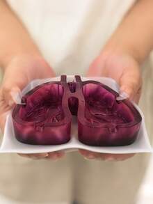 1个独特的肺形树脂烟灰缸 - 逼真的肺部解剖结构设计，适用于家庭酒吧、男士休息室、办公桌装饰和吸烟区。增添大胆、时尚和幽默的氛围，是一款独特的配饰和创意礼品，可引发话题。 - 彩色 - 查看 8