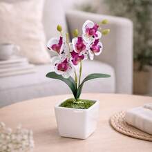 Arranjo Completo: Vasinho Quadrado De Musgo Com Mini Orquidea Pintada Enfeite Artificial - PINTADA - Visão 3