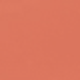 04 #CORAL TREASURE