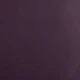 Plum Color