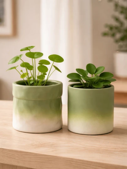 1个植物花盆，室内外植物种植容器，花园和家居装饰