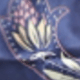 藏蓝色