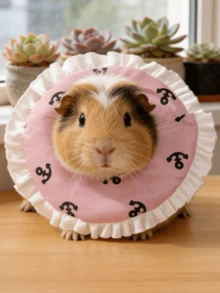 Adjustable Rehabilitation Collar For Small Pets, Rabbit,Rabbit Stuff,Rabbit Supplies, Small Pet Supplies,Protective Collar For Sugar Gliders, Puppy Care,Guinea Pigs, And Rabbits. Gentle Rehabilitation Collar, Pet Collar, Head Cap, Anti-Bite, Anti-Licking, And Anti-Escape, Skin-Friendly And Comfortable. - MultiWarna - View 6
