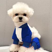 1件装宠物四脚防脏户外连体衣，泰迪熊、贵宾犬、雪纳瑞犬遛狗裤，宠物服装 - 彩色 - 查看 12