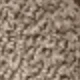 Grayish Brown