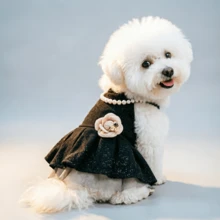 1件宠物衣服，可爱优雅的山茶花连衣裙，适合小型犬和幼犬 - 黑色 - 查看 7