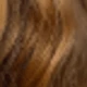 Blonde Highlight