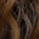 Brown Highlight