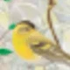 متعدد الألوان