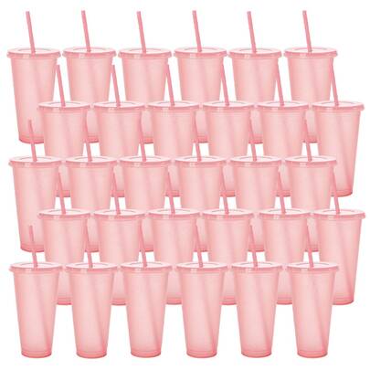 24 Pack Tumbler With Straw And Lid Bulk Cups For Gifts Water Bottle Iced Coffee Travel Mug Cup Reusable Plastic Tumblers For Party Birthdays 24oz