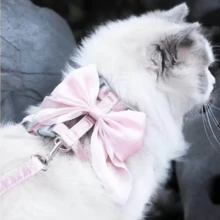 2件套四季宠物牵引绳套装 - 包括猫咪胸背带牵引绳、轻便春夏户外牵引绳、宠物I型胸背带牵引绳、狗狗胸背带牵引绳组合、宠物蝴蝶结装饰胸背带牵引绳，适合小型/中型犬猫 - 彩色 - 查看 2