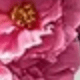 1PC