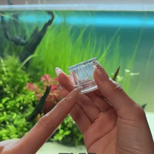 1/2/5 piezas Trampa de acrílico transparente para planarias de acuario con 8 agujeros, herramienta de eliminación de gusanos, sanguijuelas y plagas para pecera - Ver 2