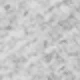Flower Gray