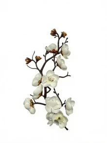这款纹理树脂花瓶兼花盆，造型不对称，极具艺术感，非常适合在咖啡桌、书桌或窗台上摆放小型植物或枝条。它能为现代生活空间和办公室增添简约自然的气息。 - 彩色 - 查看 12