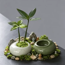 1 pièce Petit pot de fleurs, mini pot de pouce en céramique créatif, pot de fleurs de table d'intérieur de bureau, pot d'Evergreen, petit pot de fleurs de jardin extérieur, pot de plante en pot, pot de fleurs en céramique de décoration de bureau - Pot de fleurs de la taille d'un pouce - Voir 1
