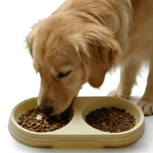 1pc Plastic Pet Bowl, Suitable For Dogs, Cats, Small Dogs And Kittens, Anti-Slip Dual Bowl Design, Durable Anti-Splash Food And Water Container - 1L - View 9