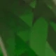 verde oscuro