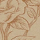 Nhiều màu