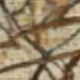 Màu be