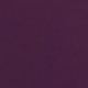 Bold Plum