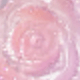 Hồng