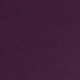 Bold Plum