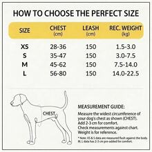 SHAGMEI 2pcs Pet Leash & Harness Set:Sweetheart Cherry Print Striped Breathable Pet Harness For Small Medium Dogs & Cats - Rose Red - View 6