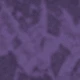 Lilac Purple