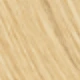 S24