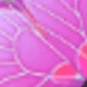 22354 Morado