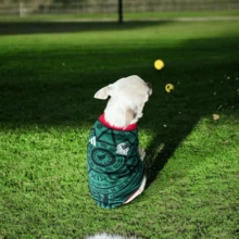 Perrina playera de la Selección 2026 para perros y gatos, razas chicas medianas y grandes - Verde - Ver 2