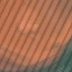 Multicolor