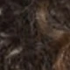 Brown Ombre