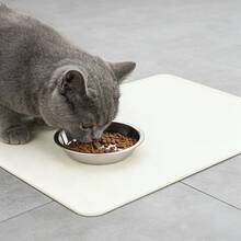 Bộ 5 bát ăn cho thú cưng bằng thép không gỉ, phù hợp cho mèo con và chó con, dùng được cả thức ăn khô và ướt, dễ dàng vệ sinh. - Đường kính 15cm - Xem 6