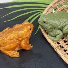 1pc Animal Toad Squeeze Toy, DIY Stress Relief Toad Figurine For Kids - Multicolor - View 2