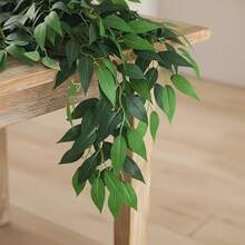 1pc Realistic Artificial Date Palm Hanging Willow Vine - Fake Green Leaf Garland With Willow Leaves - Indoor/Outdoor Wall Decor, Suitable For Weddings, Beach Parties, Gardens, Patios, Boho Home Decor, Wedding Decorations, Christmas, Thanksgiving, Halloween, Housewarming, New Year And Other Holiday Greenery - Multicolor - View 6