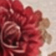 紅色花朵