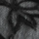 màu đen