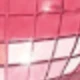 Watermelon Pink
